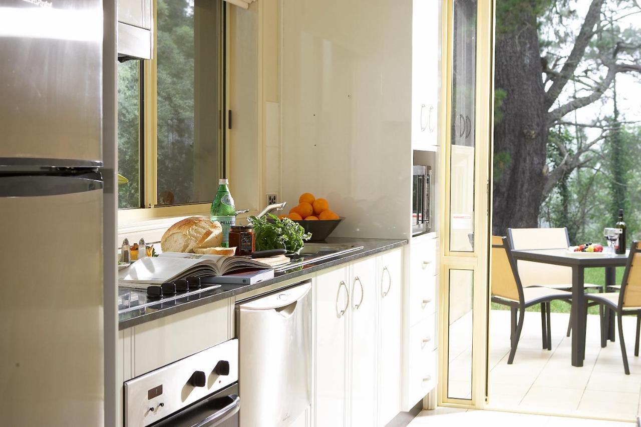 Falls Mountain Retreat Blue Mountains Wentworth Falls Ngoại thất bức ảnh