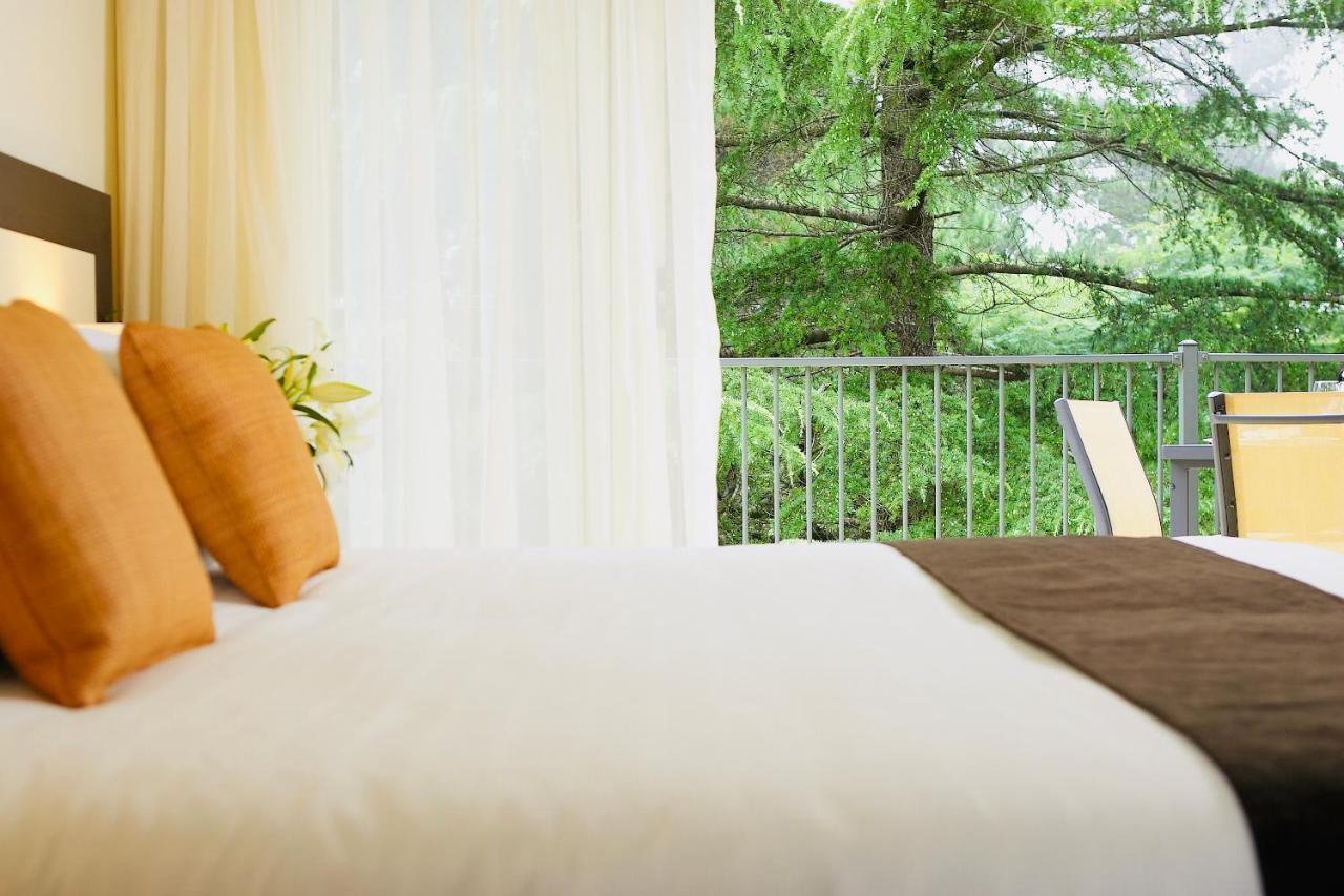 Falls Mountain Retreat Blue Mountains Wentworth Falls Ngoại thất bức ảnh