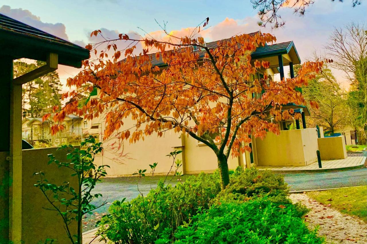 Falls Mountain Retreat Blue Mountains Wentworth Falls Ngoại thất bức ảnh