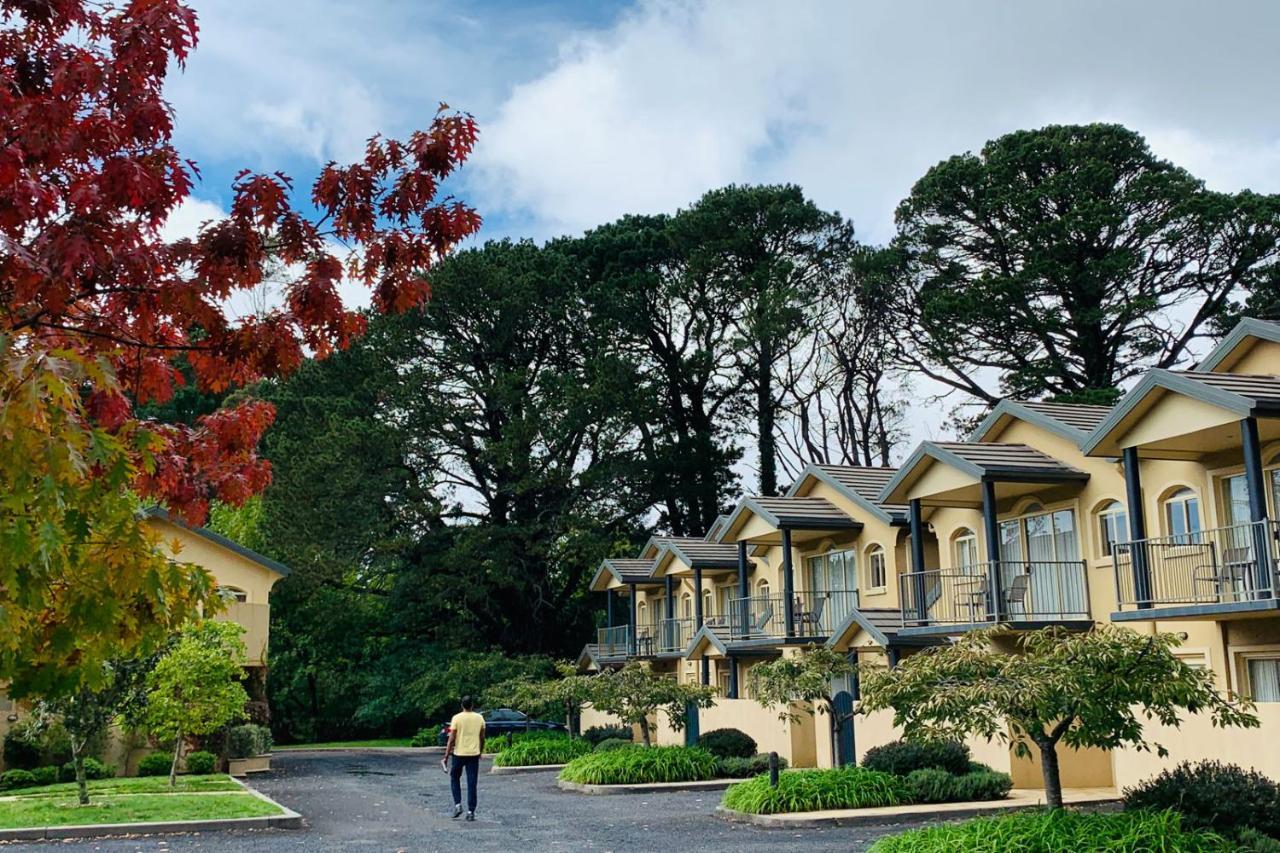 Falls Mountain Retreat Blue Mountains Wentworth Falls Ngoại thất bức ảnh